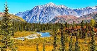 "Denali National Park: Majesty Unveiled in the Heart of the Alaskan Wilderness"