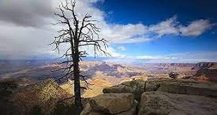 "Grand Canyon: A Majestic Tapestry of Time and Nature's Artistry"
